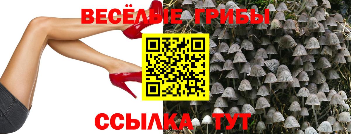 Тверь  Галлюциногенные грибы Psilocybine cubensis  Вход с VPN  Галлюциногенные грибы MAGIC MUSHROOMS 
